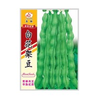 重慶本地受歡迎的四季豆品種，好吃好賣不易老化帶小時候的清香味