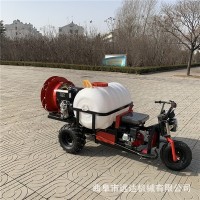 折疊桿玉米地滅蟲(chóng)打藥車 柴油液壓三輪打藥機(jī) 駕乘式柴油噴霧機(jī)