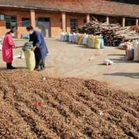 廠家批發(fā)湖北隨州油茶籽殼、茶粕、現(xiàn)貨量大從優(yōu)