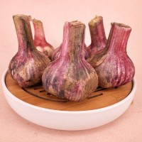 山東大蒜一件代發(fā) 干蒜，大干蒜 專業(yè)倉儲 ERP對接 5斤裝
