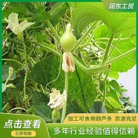 廠家銷(xiāo)售干瓢葫蘆條 葫蘆條壽司材料 食品包扎捆扎用葫蘆絲