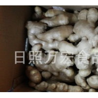 生產(chǎn)工廠供應(yīng)出口生姜，風(fēng)干姜，保鮮姜。