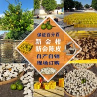 正宗新會柑、新會陳皮批發(fā)