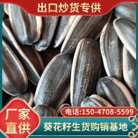 廠家供應生瓜子內(nèi)蒙古生葵花籽新貨大顆粒原味葵花子新鮮