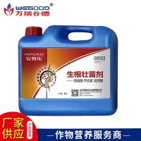 廠家批發(fā) 植物生長調(diào)節(jié)劑 ?；ūＥ蚬财諛飞鶋衙鐒?現(xiàn)貨批發(fā)