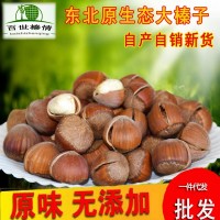 百世榛情東北榛子開(kāi)口熟孕婦新貨原味2021平歐大榛子堅(jiān)果散裝500g