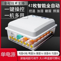 廠家直銷(xiāo)全自動(dòng)雙電源孵化機(jī)孵化器孵化箱 雞蛋孵化設(shè)備