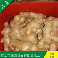出口歐美、加拿大、荷蘭、英國(guó)級(jí)保鮮姜、風(fēng)干姜（價(jià)格面議）