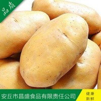供應(yīng)出口中東、東南亞級(jí)保鮮荷蘭7號(hào)、15號(hào)（價(jià)格面議）
