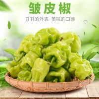 云南特產農家自種皮薄皺皮辣虎皮辣椒青辣椒清脆新鮮蔬菜現(xiàn)摘現(xiàn)發(fā)（價格面議）