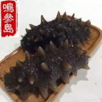 大連海參長(zhǎng)?？h深海即食海參遼參500g一件代發(fā)口感好工廠加工批發(fā)