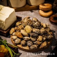 初旬味無(wú)沙花蛤500g*4 餐飲專用鮮活急凍新鮮花甲蛤蜊 熟凍雜色蛤