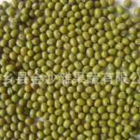 綠豆常年供應(yīng)，芽豆，商品豆，質(zhì)量保證 價格優(yōu)惠