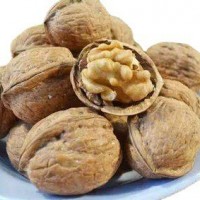 新貨上市，常年供應(yīng)核桃，質(zhì)量保證 價(jià)格優(yōu)惠