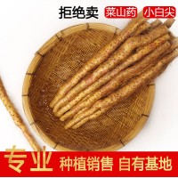 鐵棍山藥河南焦作溫縣壚土正宗新鮮長5斤批鐵根淮山鐵懷山鐵桿棒 5個(gè)起批
