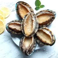 閩正煮凍鮑魚4頭-32頭鮑魚OEM、ODM定制生產(chǎn)來料加工海鮮水產(chǎn)凍品  2斤起批