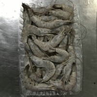加工南美白對(duì)蝦，冷凍南美白對(duì)蝦，唐山南美白對(duì)蝦，天津南美蝦