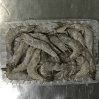 冷凍南美白對(duì)蝦，加工南美白對(duì)蝦，河北南美白對(duì)蝦，唐山南美對(duì)蝦