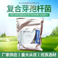 復合芽孢桿菌 水溶肥沖施肥 生根壯根活化土壤 農(nóng)作物化肥廠家