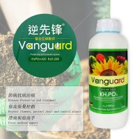 全水溶葉面肥亞磷酸鉀 高磷高鉀水溶肥 膨果?；ū９厣铱赝柿? onmouseover=