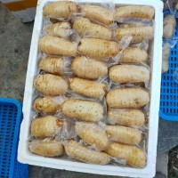 鮮天麻真空保鮮天麻一個(gè)一袋，酒店冰鎮(zhèn)天麻片，天麻食材長(zhǎng)年供應(yīng)