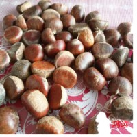 遷西栗子新鮮，生板栗新鮮，遷西板栗子