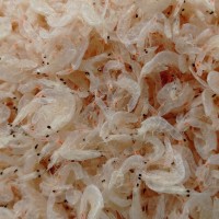 廠家直供天然烘干蝦皮 海味產(chǎn)品 流水線小蝦皮，【新品上市】